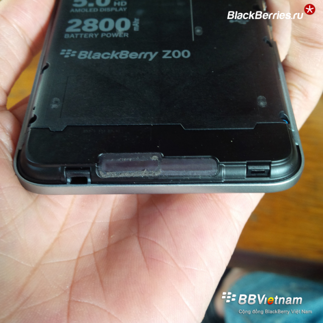 blackberry-Z00-5