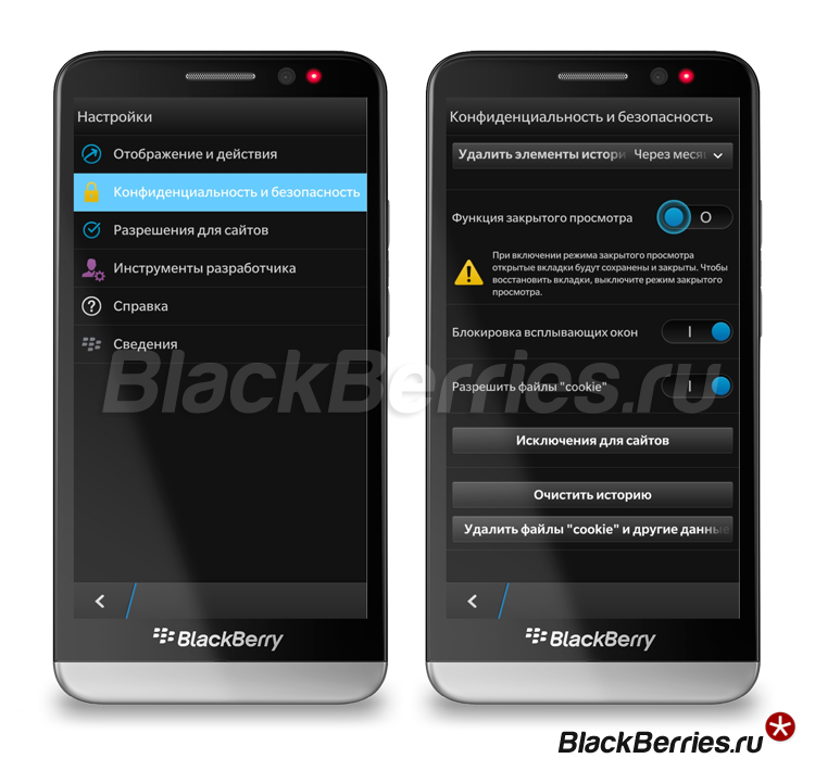 BlackBerry-Z30-Browser-Privat