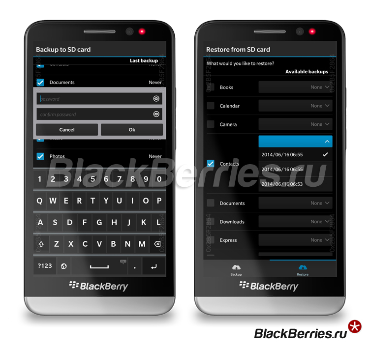 BlackBerry-BackUp-Pro3