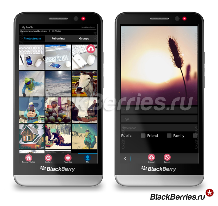 BlackBerry-Flickr-Flowr1
