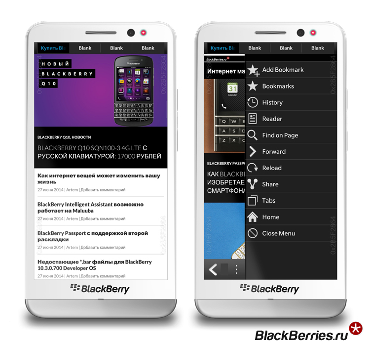 Evolution-Browser-BlackBerry