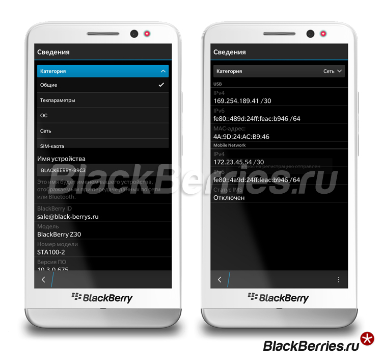 BlackBerry-Z30-Ezhevika2