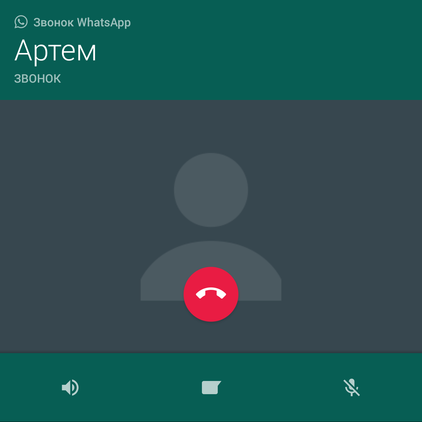 WHATSAPP звонок