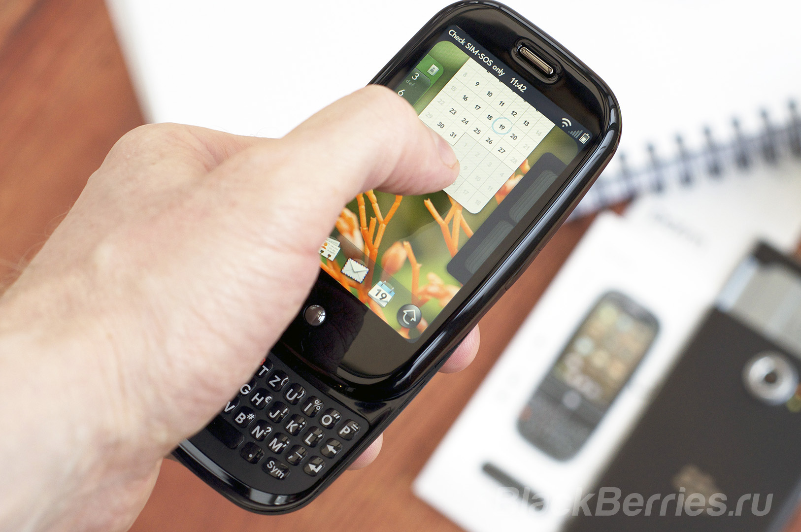 PALM-BlackBerry-TCL-06